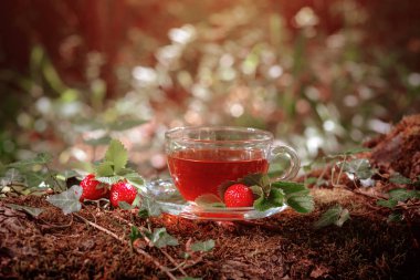 Cam bardak yabani çilek ile Meyve kırmızı çay, ormanda, parlak arka plan üzerinde.