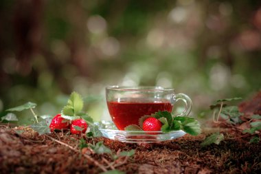 Cam bardak yabani çilek ile Meyve kırmızı çay, ormanda, parlak arka plan üzerinde.