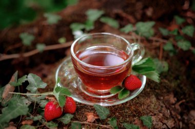 Cam bardak yabani çilek ile Meyve kırmızı çay, ormanda, parlak arka plan üzerinde.