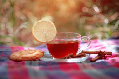 Cam bardak yabani çilek ile Meyve kırmızı çay, ormanda, parlak arka plan üzerinde.