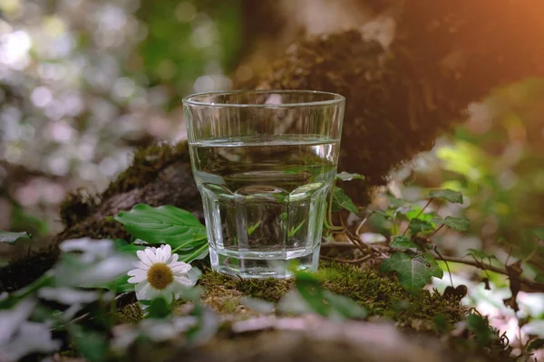 A glass of clean water, on the nature. Concept of a healthy life