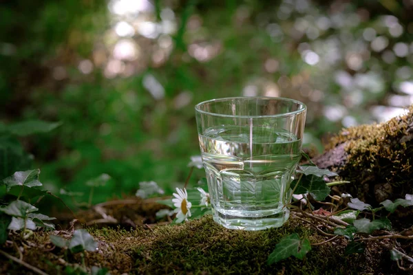 Um copo de água limpa, na natureza. Conceito de uma vida saudável — Fotografia de Stock