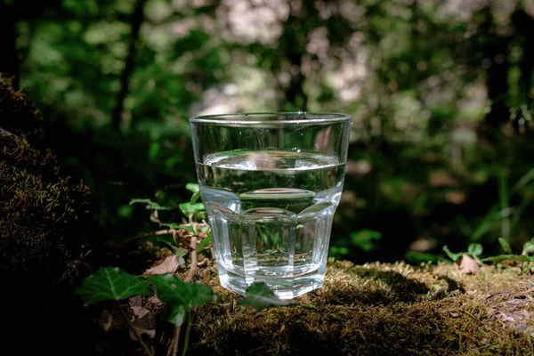 A glass of clean water, on the nature. Concept of a healthy life — Stock Photo, Image