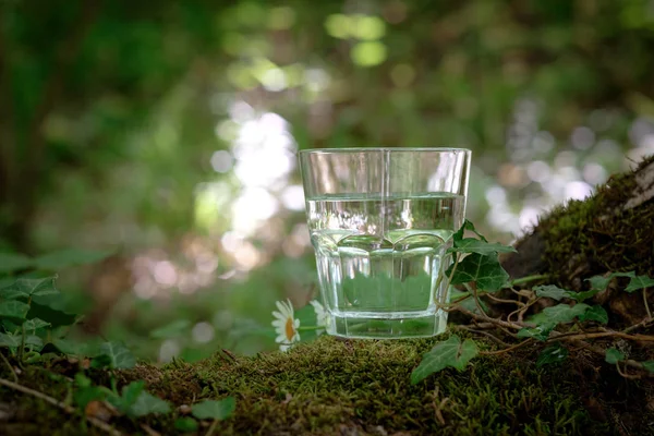 Un verre d'eau propre, sur la nature. Concept d'une vie saine — Photo
