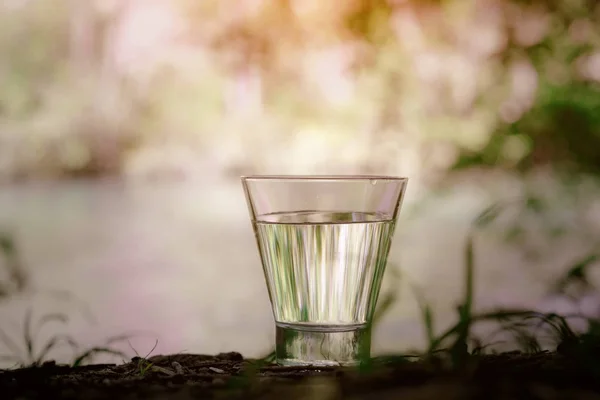 Un verre d'eau propre, sur la nature. Concept d'une vie saine — Photo