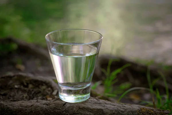 Un bicchiere d'acqua pulita, sulla natura. Concetto di vita sana — Foto Stock