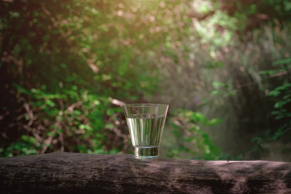 Ett glas rent vatten, på naturen. Begreppet hälsosamt liv — Stockfoto