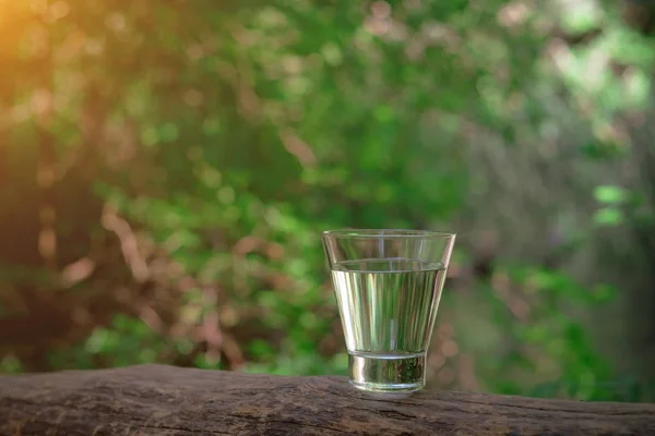 Un verre d'eau propre, sur la nature. Concept d'une vie saine — Photo