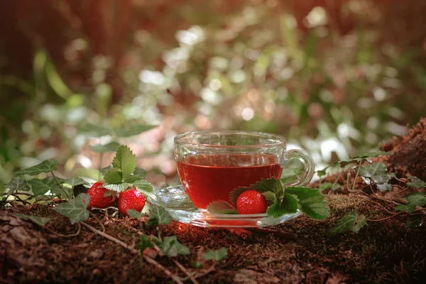 Frukt rött te med vilda bär i glas kopp, i skog, på ljus bakgrund. — Stockfoto