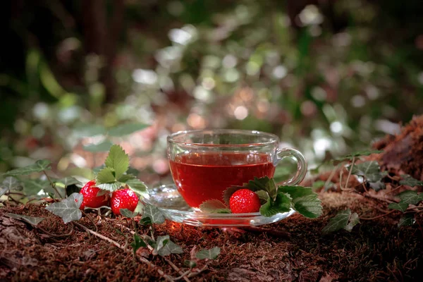 Frukt rött te med vilda bär i glas kopp, i skog, på ljus bakgrund. — Stockfoto