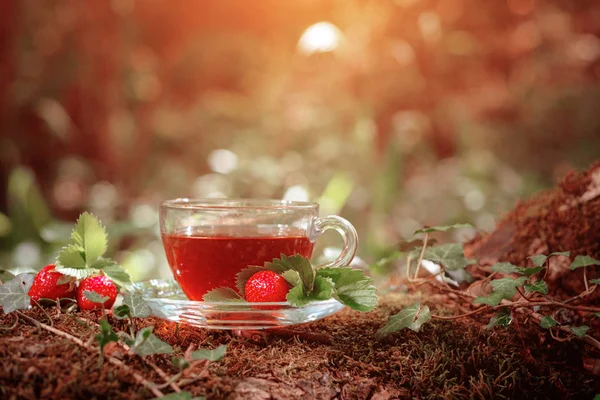 Chá vermelho de frutas com bagas silvestres em copo de vidro, na floresta, no fundo brilhante . — Fotografia de Stock