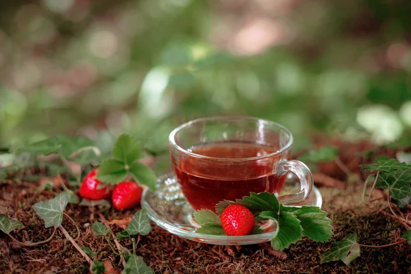 Cam bardak yabani çilek ile Meyve kırmızı çay, ormanda, parlak arka plan üzerinde.