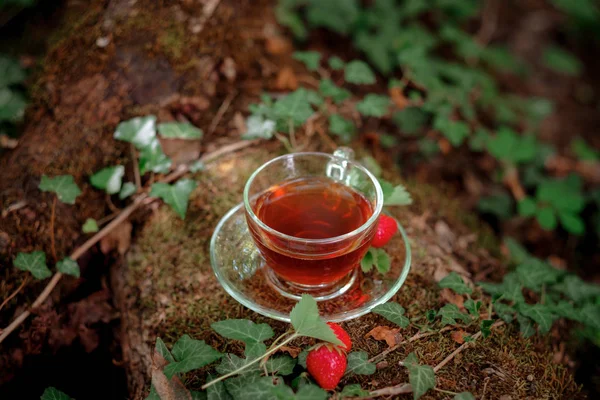 Fruit red tea with wild berries in glass cup, in forest, on bright background.