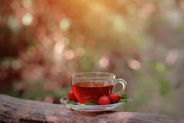 Chá vermelho de frutas com bagas silvestres em copo de vidro, na floresta, no fundo brilhante . — Fotografia de Stock