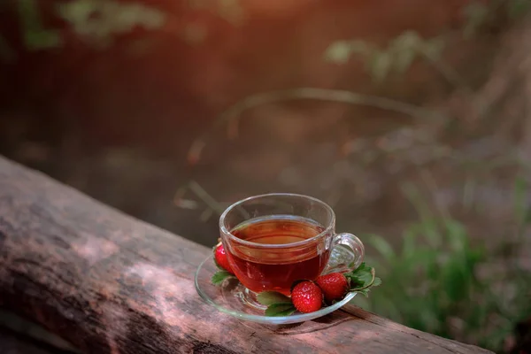 Fruit red tea with wild berries in glass cup, in forest, on bright background.