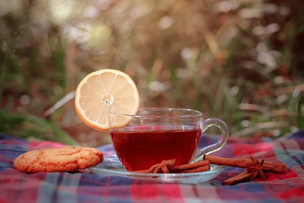 Frukt rött te med vilda bär i glas kopp, i skog, på ljus bakgrund. — Stockfoto