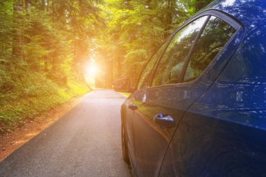 Yaz günü parkta asfalt yolda araba.