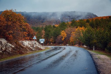Kırım, Ukrayna dağlarında güzel renkli kavisli Sonbahar Sonbahar yol