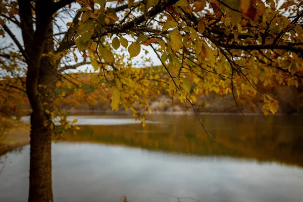 Autumn forest reflected in water. Colorful autumn morning in the mountains.