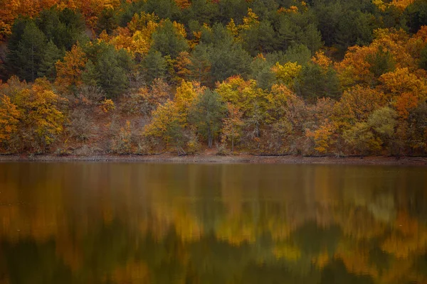 Sonbahar ormanı suya yansıdı. Dağlarda renkli sonbahar sabahı. — Stok fotoğraf