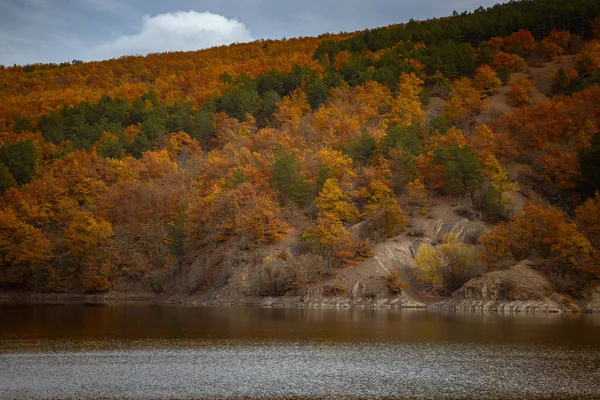 Осенний лес отражается в воде. Красочное осеннее утро в горах . — стоковое фото