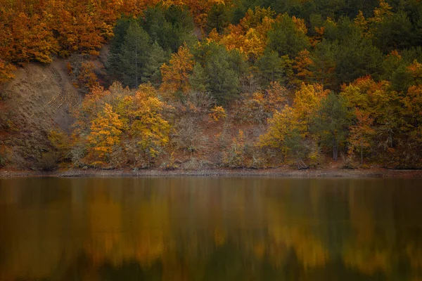 Őszi erdő tükröződik a vízben. Színes őszi reggelen a hegyekben. — Stock Fotó