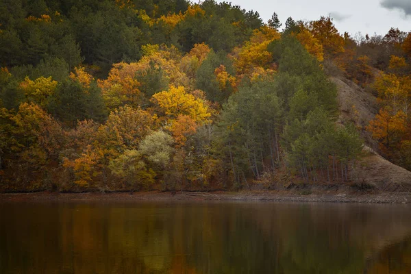 Forêt d'automne reflétée dans l'eau. Matin d'automne coloré dans les montagnes . — Photo