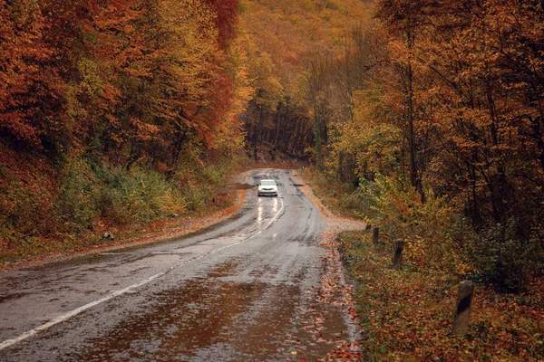 Bella colorato curvo Autunno Autunno strada nelle montagne della Crimea, Ucraina — Foto Stock