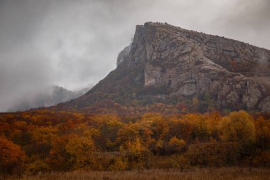 Dağların sonbahar manzarası renkli ormanlarla dolu.
