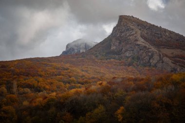 Dağların sonbahar manzarası renkli ormanlarla dolu.