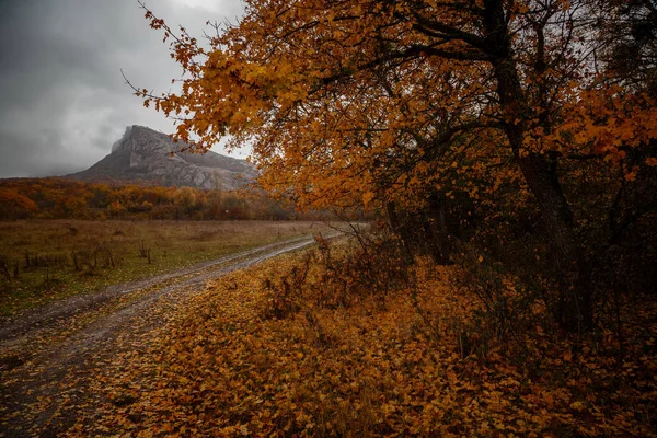 A paisagem de outono de montanha com floresta colorida — Fotografia de Stock