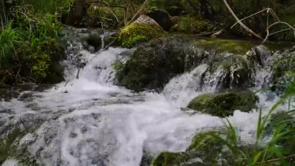 Underbara Sötvatten Forsar Vattenfall Flod Som Flyter Närbild Bergsfloden Långsam — Stockvideo