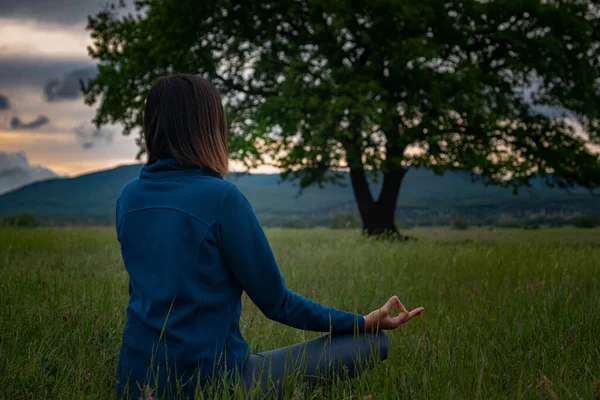 A young woman doing yoga near alone oak with sunset in nature. Self-analysis and soul-searching. Spiritual and emotional concept. Introspection and soul healing. back view