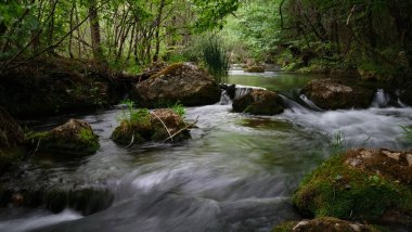 Güneşli bir ormanda akan bir nehir. Yeşil ağaçtaki yosunlu kayaların üzerinden akan akarsu