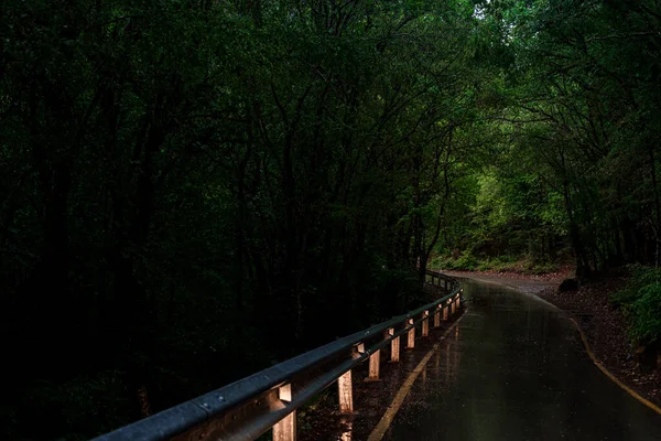 Asphalt Road Forest Rain Evening Spring Empty Highway Foggy Woodland — Stock Photo, Image