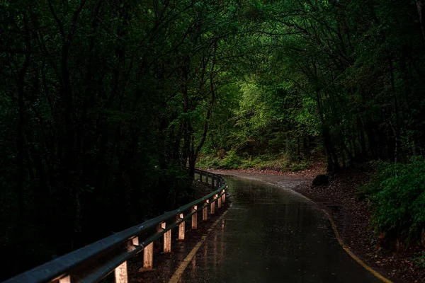 Strada Asfaltata Nella Foresta Durante Pioggia Sera Primavera Autostrada Vuota — Foto Stock