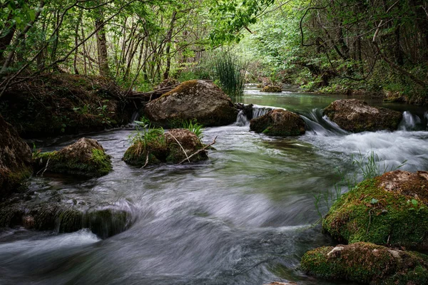 Полная Река Солнечном Лесу Ручей Течет Мшистым Камням Зеленом Лесу — стоковое фото