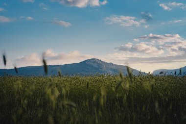 Yağmurdan önce ya da sonra dağlarda. Dağ vadisi bulutlu gökyüzü manzarası. Doğal seyahat geçmişi. Güzellik dünyası.