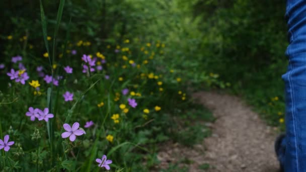 Een Spoor Het Bos Een Vrouw Loopt Langs Prachtige Bloeiende — Stockvideo