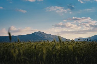 Yağmurdan önce ya da sonra dağlarda. Dağ vadisi bulutlu gökyüzü manzarası. Doğal seyahat geçmişi. Güzellik dünyası.