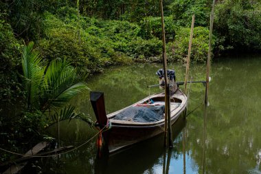 Tayland, Krabi 'de tahta kuyruklu bir tekne. Asya seyahati. Geleneksel balıkçı teknesiyle manzara