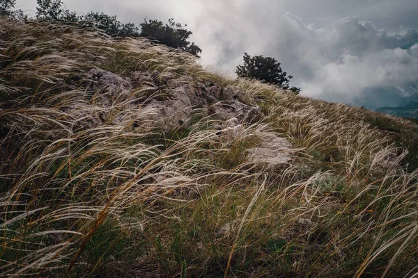 Fjäder Gräs Sluttningarna Sommarbergen Vacker Dramatisk Himmel Med Moln Höga — Stockfoto