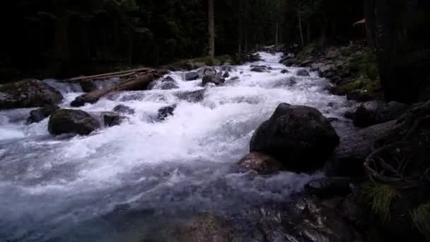 Blått Grönt Vatten Bland Skog Och Klippstrand Trästaket Flodstranden Sommar — Stockvideo
