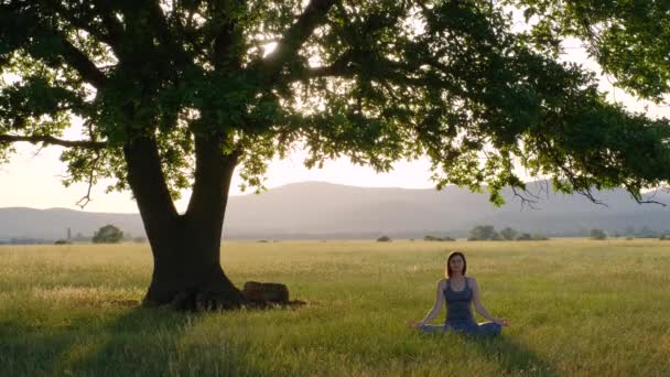一位年轻的亚洲女人在日落时在一棵巨大的老橡树下沉思 在室外大自然的背景下 女人们为健身生活俱乐部做着至关重要的冥想运动 健康与瑜伽概念 — 图库视频影像