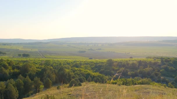 Muž Turistika Kopcích Nastavení Při Západu Slunce Mladý Dobrodružný Muž — Stock video