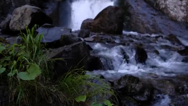 petite cascade de rivière dans la rivière de montagne beau paysage naturel gros plan. Eco tourisme et voyages. se concentrer sur l'herbe qui pousse au bord de la rivière. cascade sur le fond