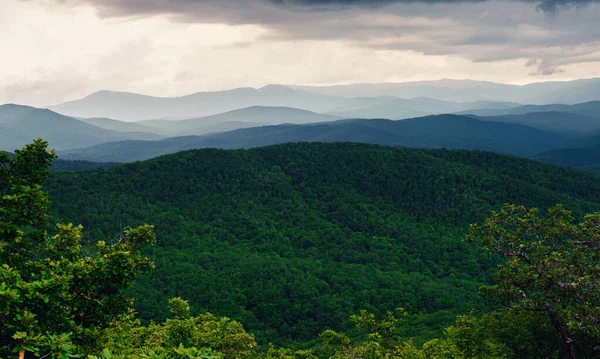 Rain over forest mountains. Misty mountain landscape hills at rainy day. Idyllic green valley surrounded by forested mountains on stormy summer day.