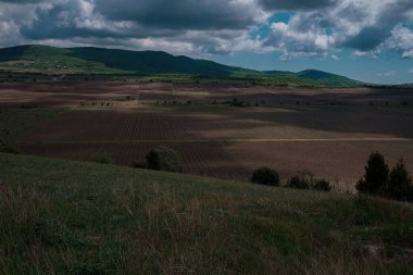 Genç üzüm bağları ve dramatik gökyüzü olan vadi manzarası. Fikir ve seyahat kavramı, açık sınırlar ve özgürlük