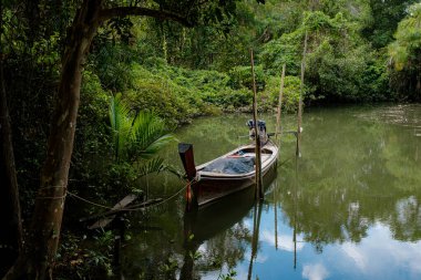 Tayland, Krabi 'de tahta kuyruklu bir tekne. Asya seyahati. Geleneksel balıkçı teknesiyle manzara