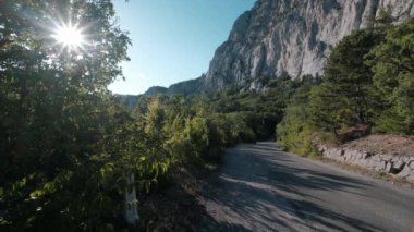 Yazın yeşil ormanda güneşli bir günde manzaralı dağ yolu. Seyahat, keşif ve özgürlük fikri